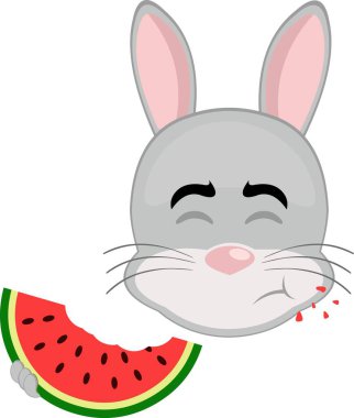 vector illustration emoticon character face rabbit rodent animal eating watermelon fruit