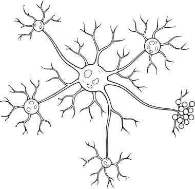 İnsan nöronları ve beyin hücrelerinin el çizimi. Beyaz doldurma veya renk yok, siyah doldurma vektör çizimi, bilim sembolü, sinir bilimi ve yapay zeka