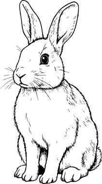 Profesyonel el çizimi tavşan vektör illüstrasyonunda siyah çizgi sanatı yer alıyor. Bu grafik kolay entegrasyon için beyaz arkaplan ya da beyaz dolgu içermiyor