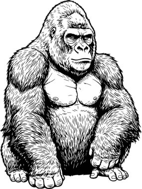 Beyaz arkaplanı ya da vahşi yaşam ve doğa tasarımları olmayan siyah doldurmalı goril gümüşü hayvan çizimi.