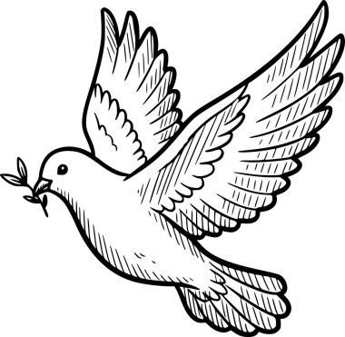 Siyah mürekkep dolu zeytin dallarıyla uçan, ruhani ve sembolik tasarım için beyaz arka plan doldurmayan, barış resimli bir güvercin çizimi.