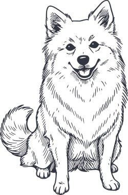 detaylı tükürük köpek siyah dolgularla çizilmiş bir el çizimi tarzında oturuyor ve yüksek kaliteli profesyonel vektör tasarımı için beyaz dolgu yok