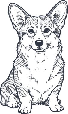 El çizimi galce corgi pembroke köpek siyah çizgi sanat tarzı oturan, grafik illüstrasyon kolay düzenleme ve profesyonel kullanım için beyaz dolgu olmadan