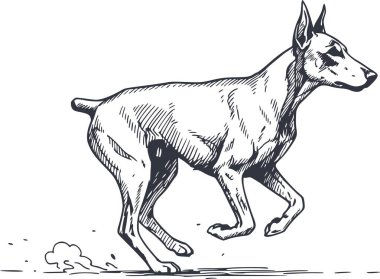 Hızlı koşan bir doberman köpeğinin robot resmini çizdim. Bu vektör illüstrasyonu beyaz dolgu içermiyor ve siyah mürekkep biçimi çizgileri kullanıyor
