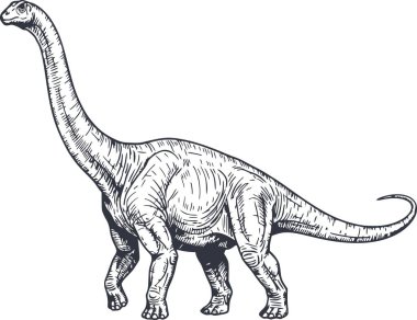 Profesyonel el oyması ile siyah mürekkepli bir diplodocus dinozoru kolayca entegre olabilmek için beyaz dolgu malzemesi kullanmadan çizilmiş.