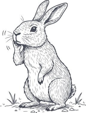 Düşünen bir tavşanın resmedilmiş resmi. Siyah dolgu stili ve arka planda entegrasyon için beyaz dolgu yok.