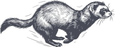 Beyaz zemin üzerinde izole edilmiş hızlı koşan gelincik için siyah doldurulmuş el çizimi biçim illüstrasyonu, resim beyaz dolgular içermez ve tasarım için katı siyah kullanır