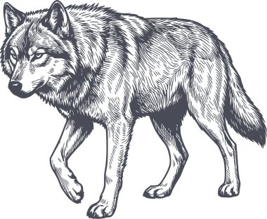 el çizimi dijital terminal CMD komut penceresi ikili kodlu matris arkaplanı siyah dolgu biçiminde, yaratıcı programlama ve hack kavramları için beyaz dolgu yok