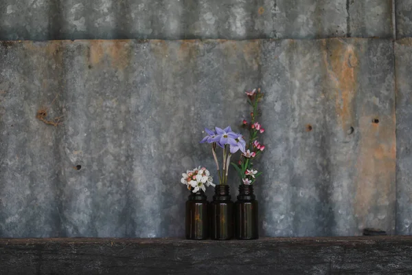 段ボール鉄の背景に新鮮な花を持つ3つのエッセンシャルオイルボトルのセット — ストック写真