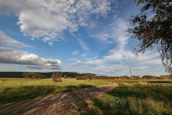 Children Riding Bikes Remote Country Lane Vibrant Afternoon — Stock Photo, Image