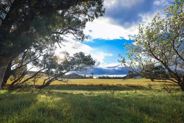 Bellissimo Pomeriggio Tranquillo Campagna Con Erba Lunga Cielo Nuvoloso — Foto Stock