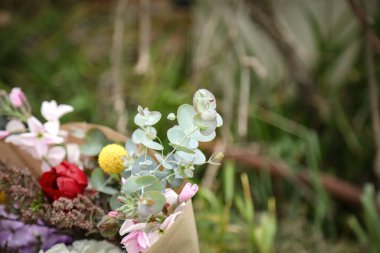 Bir demet taze kesilmiş kır çiçeğinin yakın plan görüntüsü