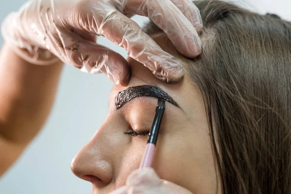 makeup artist applies paint henna on eyebrows in a beauty salon. Professional care for face.