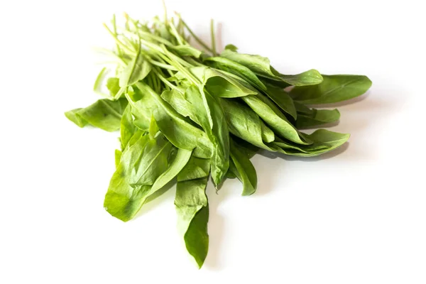 Groene Bladeren Van Zuring Een Witte Achtergrond — Stockfoto