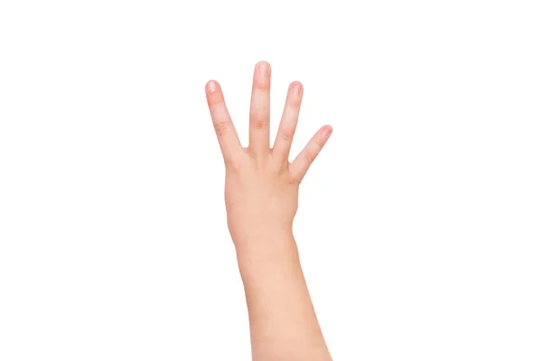 Дитяча Рука Показує Чотири Пальці Білому Тлі Копіювати Простір Жест — стокове фото