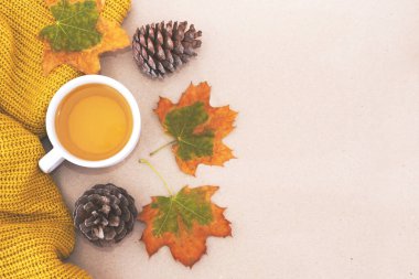 Turuncu süveter, çay fincanı ve sarı sonbahar yaprakları ve boş bir arkaplanda çam kozalakları.