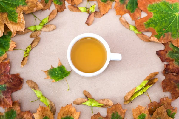 Фото Чашки Чая Желтыми Осенними Листьями Изолированном Фоне — стоковое фото