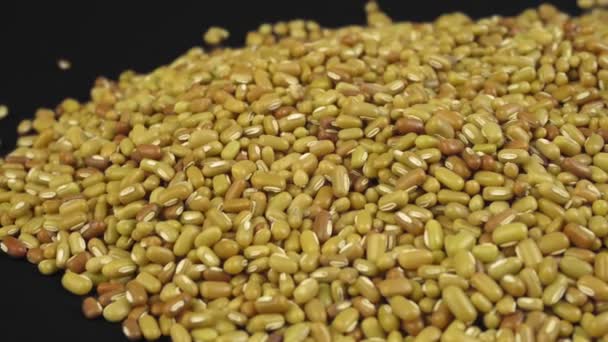 노란 콩을 배경으로 한다. 건강 한 유기농 식품 — 비디오