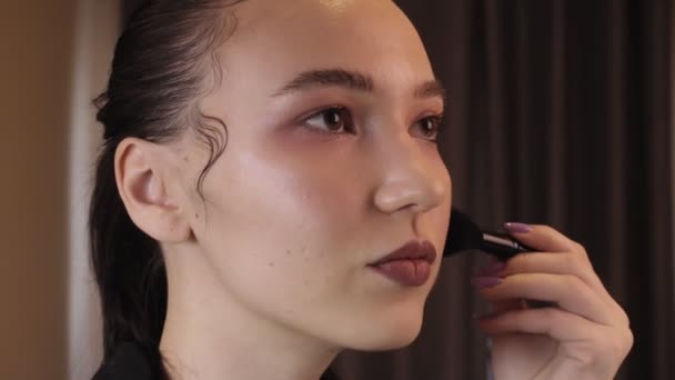 Visage Une Jeune Femme Gros Plan Maquillage Professionnel Est Appliqué — Video