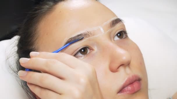 Professionell Gör Färgning Ögonbryn Med Färgämnen Toning Kosmetiska Förfaranden Skönhetssalong — Stockvideo