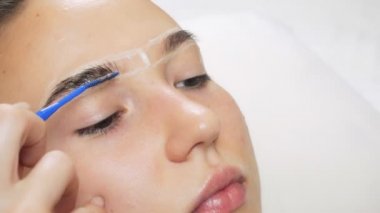 Bir profesyonel, bir güzellik salonunda kaşlarını boyayarak, boyayarak, makyaj yaparak makyaj yapar. Boya saçlara ince bir fırçayla uygulanır..