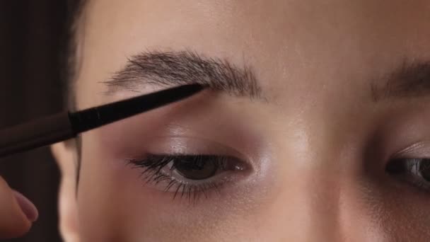 Visage Une Jeune Femme Gros Plan Sourcils Style Professionnel Belle — Video