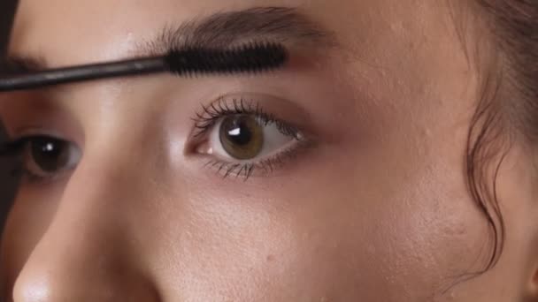 Junge Schöne Mädchen Mit Wimpern Wird Gemalt Augen Auf Professionelles — Stockvideo