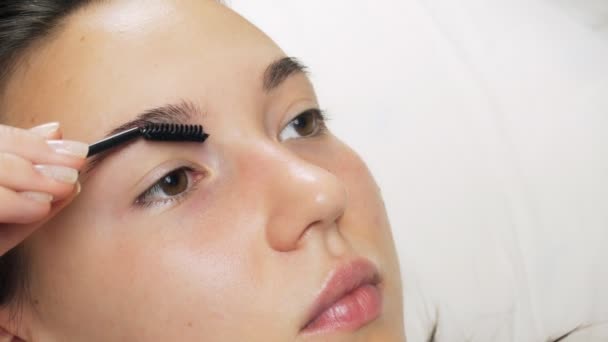 化妆师给一个女人梳理眉毛 理想形式的形成 专业美容服务 — 图库视频影像