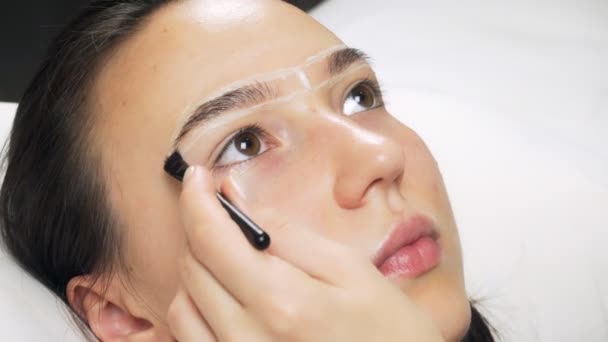 Een Professional Verft Wenkbrauwen Met Kleurstoffen Kleurstoffen Cosmetische Ingrepen Een — Stockvideo