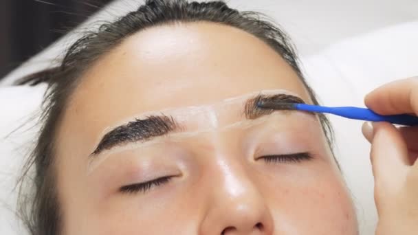 Professionnel Teint Les Sourcils Avec Des Colorants Des Teintures Des — Video