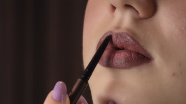 Chica Pone Lápiz Labial Los Labios Maquillaje Profesional — Vídeo de stock
