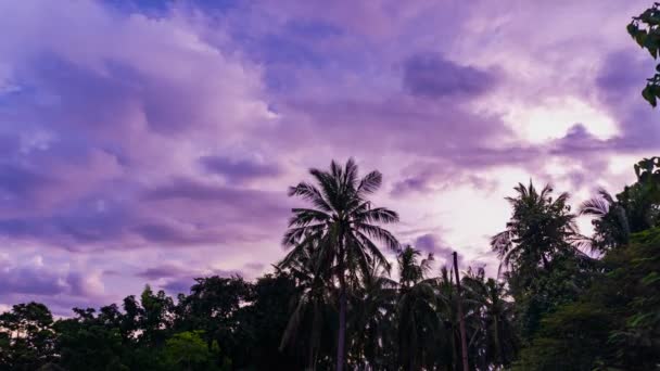 Time Lapse Fotografia Cielo Luminoso Retrocedendo Nella Notte Tramonto Filmati — Video Stock