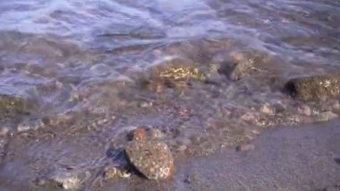 Güneşli bir günde deniz manzarası. Deniz dalgaları taşlara çarpıyor.