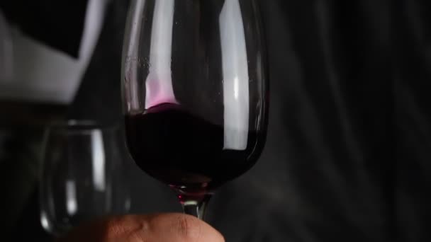 Main Homme Fait Tourner Verre Vin Rouge Gros Plan Ralenti — Video