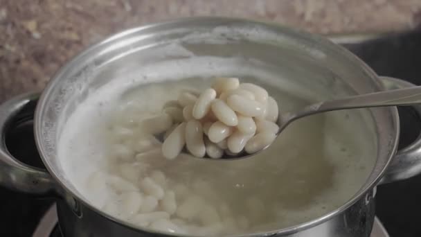 Bonen Kookproces Witte bonen zaden in kokend water in een steelpan. — Stockvideo