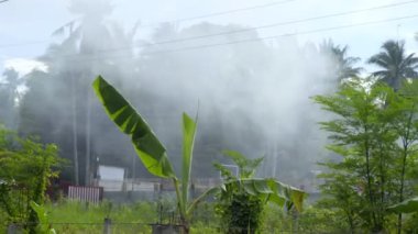 Tropik bölgelerde orman yangını