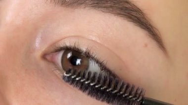 Lekeleme işleminden önce, kirpikleri uzun bir fırçayla taranır.. 