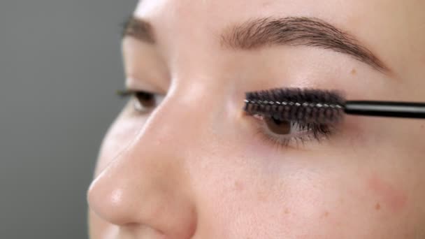 Before the lamination procedure, the eyelashes are combed with a long brush. — Stock Video