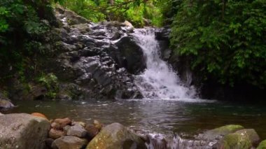 Yağmur ormanında küçük bir şelale. Filipinler