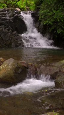 Yağmur ormanında küçük bir şelale. Filipinler