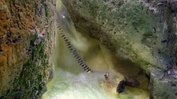 Primavera térmica na floresta. Água quente e rica em cinzas que flui em uma corrente verde — Vídeo de Stock