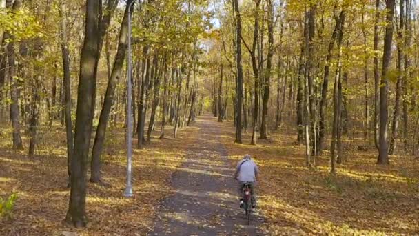 秋の公園で自転車に乗る大人の男,スローモーション — ストック動画