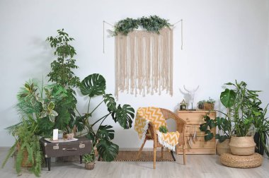 Boho tarzı, dekoru ve kapalı alan çiçekleri ile ev içi konforu