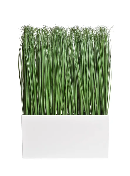 Sztuczna trawa w garnku na białym, izolowanym tle — Zdjęcie stockowe