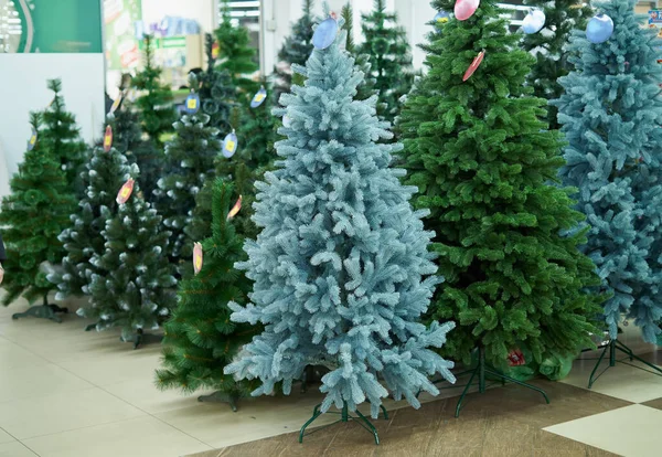 Mağazada PVC Noel Ağaçları Satmak