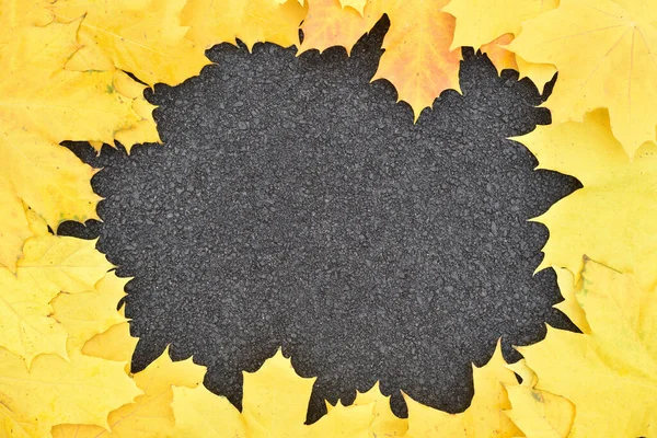 Cadre fait de feuilles d'automne sur l'asphalte — Photo