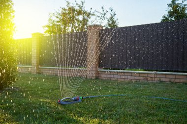Otomatik püskürtücü yazın günbatımında ev bahçesindeki çimenleri suluyor.