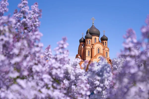 青い空に対して春にライラックが咲くことによって囲まれたキリスト教正教会 — ストック写真