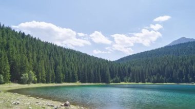 Yaz güneşli bir gün ve Karadağ 'ın Durmitor Milli Parkı' nın dağlarındaki kara göl yakınlarındaki kozalaklı bir orman.
