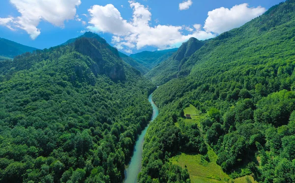 몬테네그로 산에 있는 타라 강, 공중에서 본 광경 — 스톡 사진